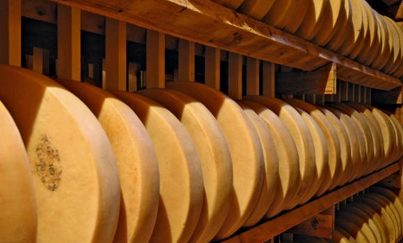 Etivaz Käse – zu Besuch auf der Alp
