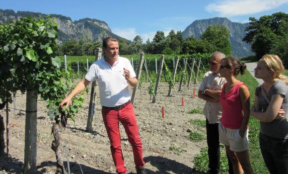 Weintour & Degustation im Alpenkeller