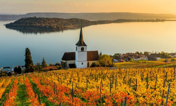 Erlebniswege zum Wein am Bielersee