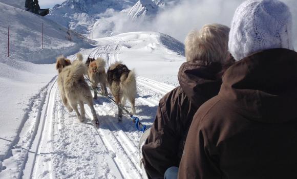 Schneespazierfahrt mit Schlittenhunden