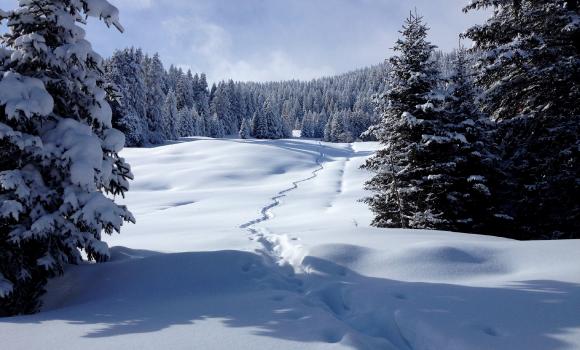 Guided snowshoe tour on Chur’s home mountain