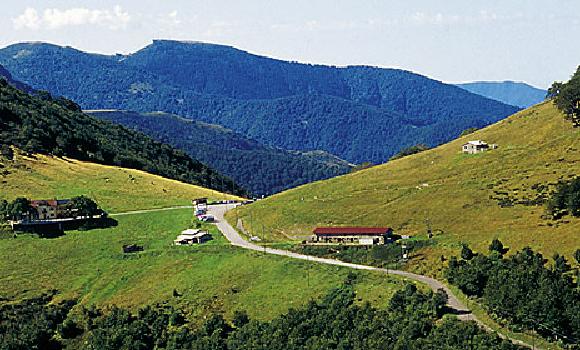 Sentiero del Monte Gambarogno