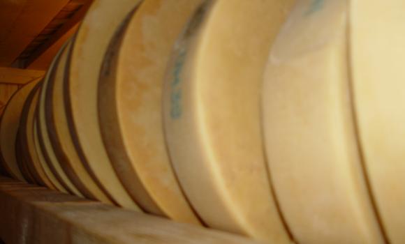 Production de fromage chez Miggi