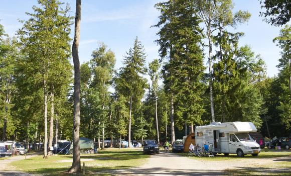 TCS Camping Gampelen Neuenburgersee