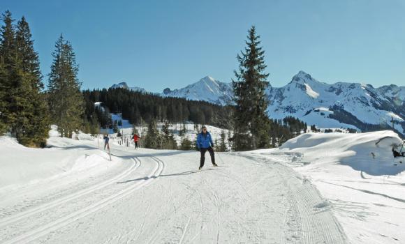 Paradis du ski de fond dans le parc naturel